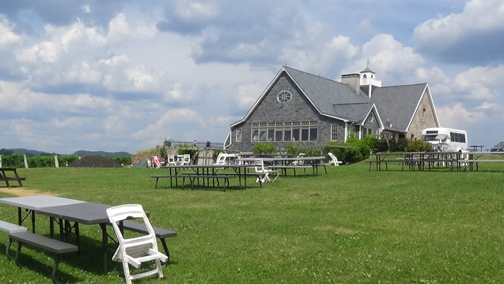 Gouveia Vineyards. One of the most popular stops on the tour.